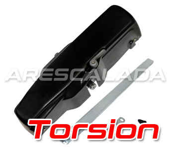 Torsion