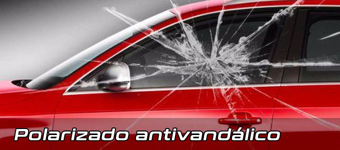 Polarizado antivandálico