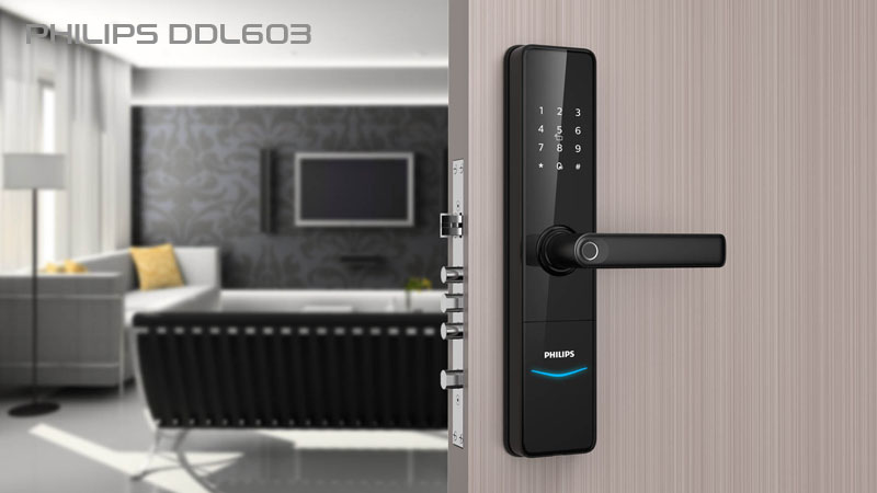 Ceradura DDL603